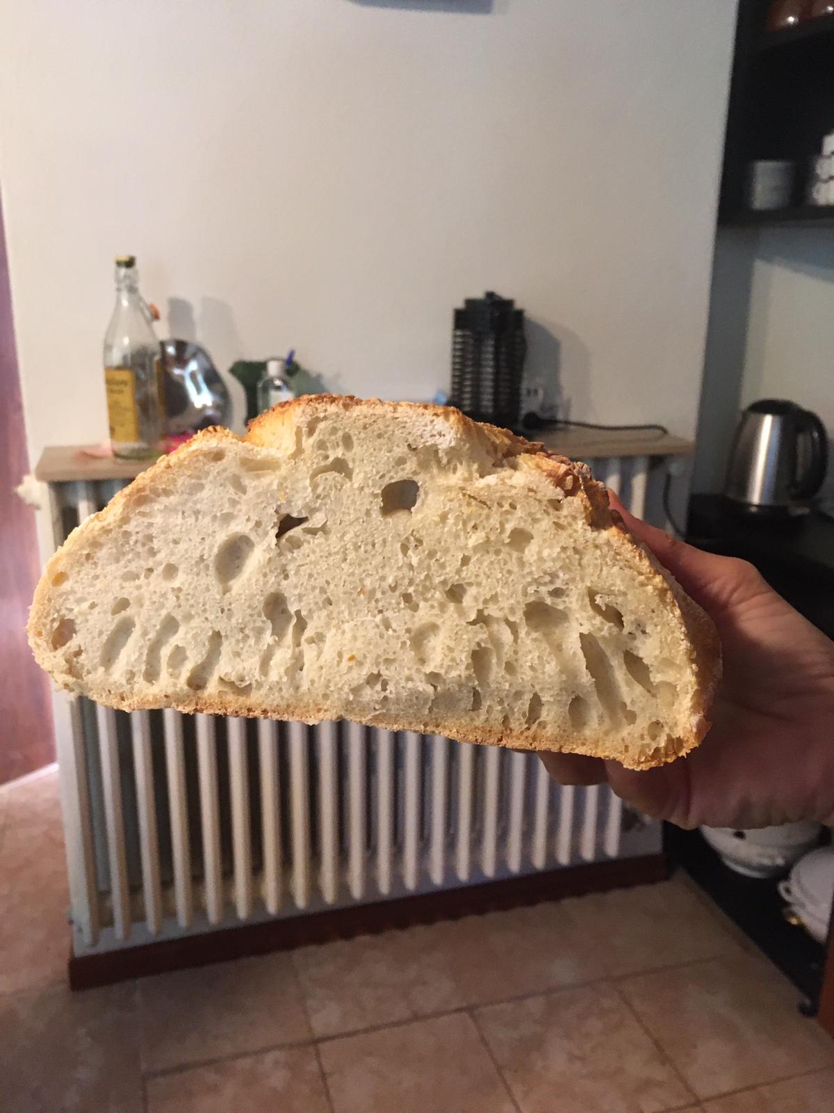 Can't get Stretch and Fold to develop the dough The Fresh Loaf